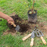 Juego de herramientas de jardinería